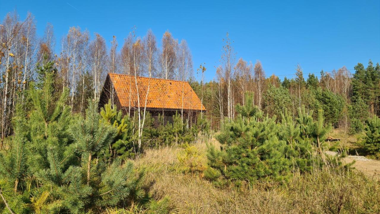 Zakole Czarnej Hanczy Tartaczysko Exteriör bild